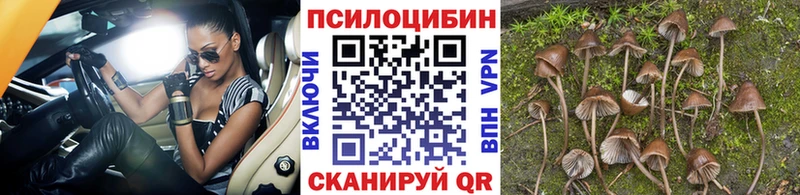 Галлюциногенные грибы прущие грибы  это наркотические препараты  Мирный 